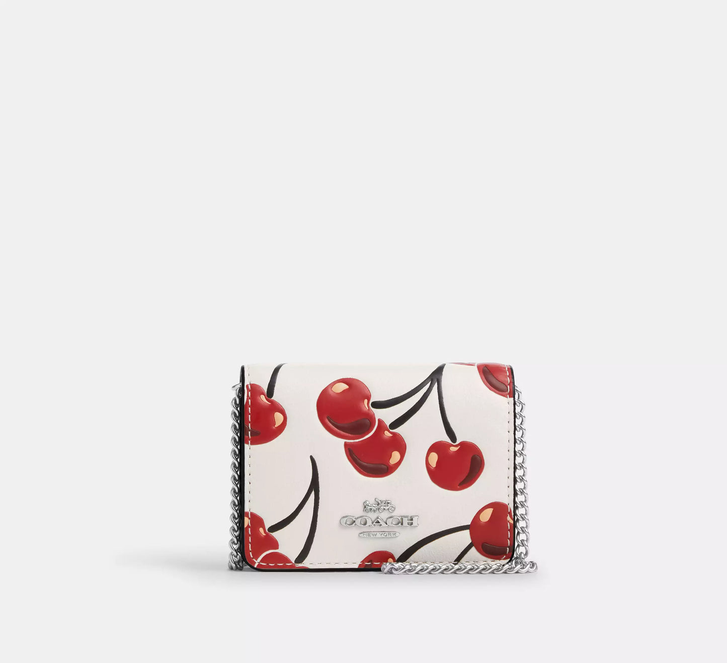 PRE ORDER-Mini Wallet On A Chain