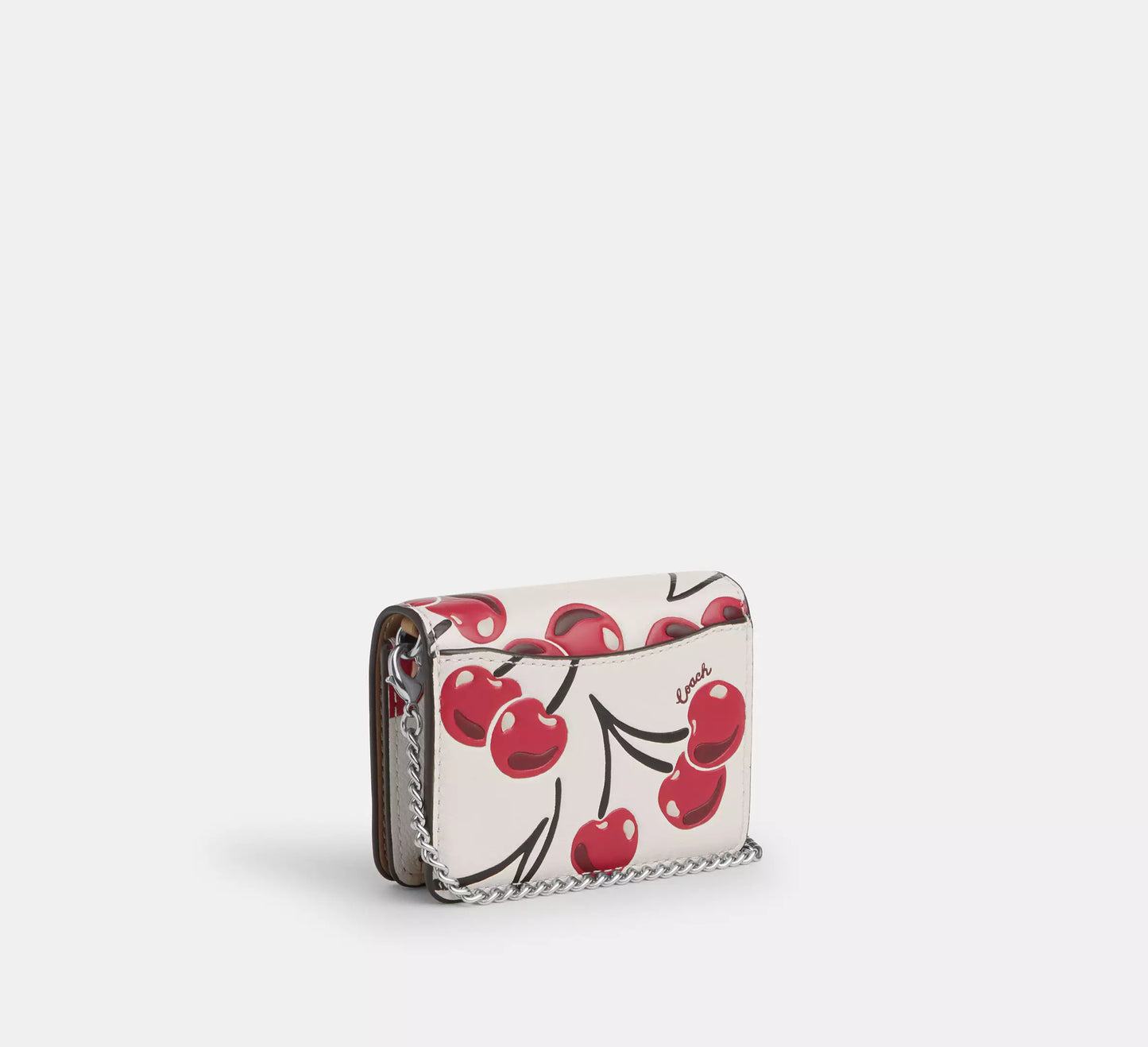 PRE ORDER-Mini Wallet On A Chain