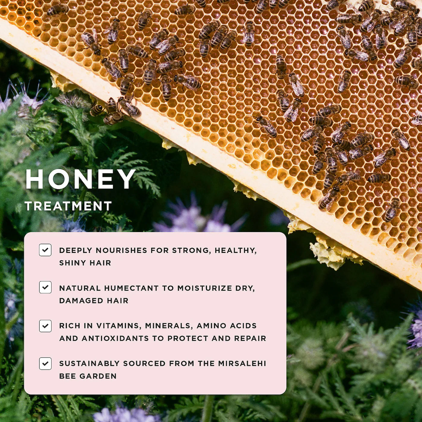 PRE ORDER-Honey Infused Scalp Treatment Serum