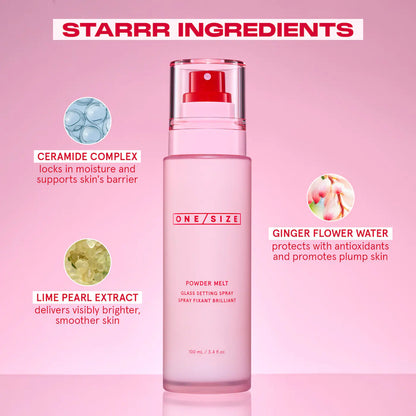 PRE ORDER-Powder Melt Glass Setting Spray